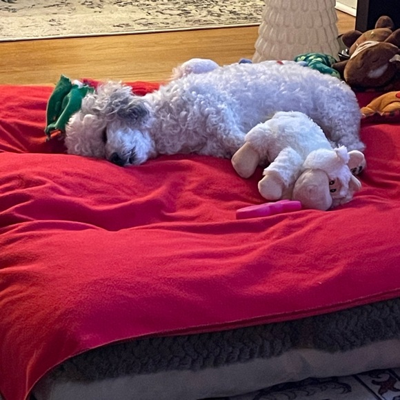 Like this! Live jewelry show notification! - Picture 5 of 12